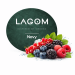 Табак для кальяна Lagom Navy Shockberry 40 гр